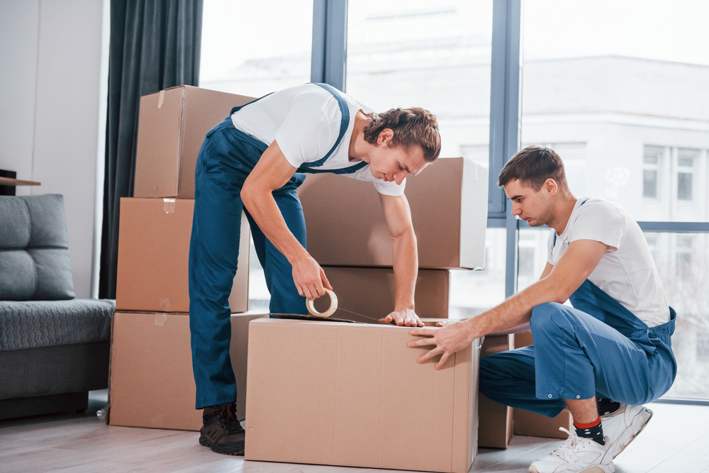 Affordable Movers Packers in Marina