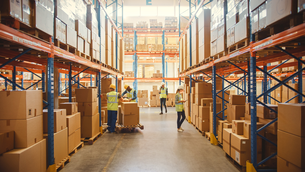 Affordable Movers in Palm Jumeirah